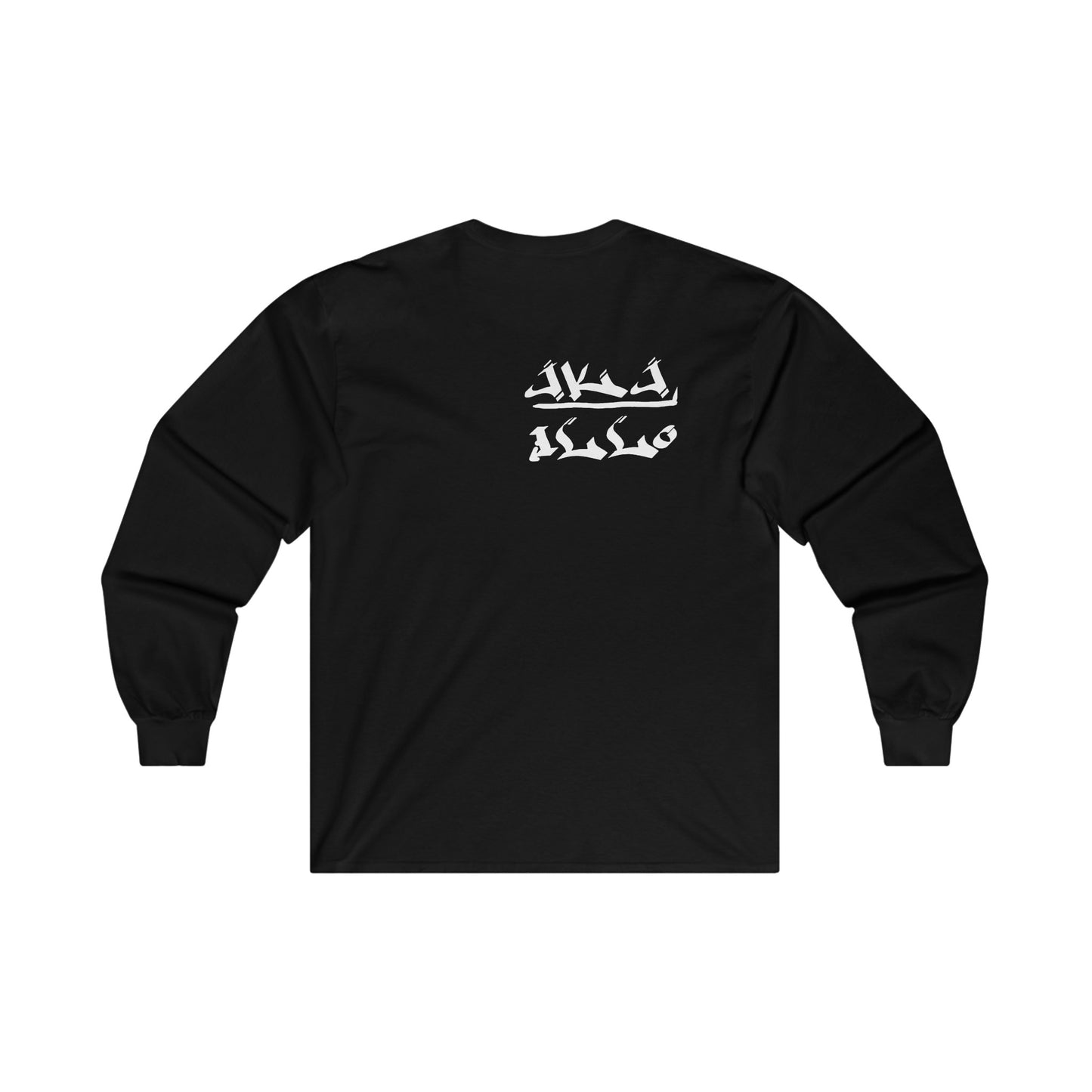 Unisex Ultra Cotton Long Sleeve Tee